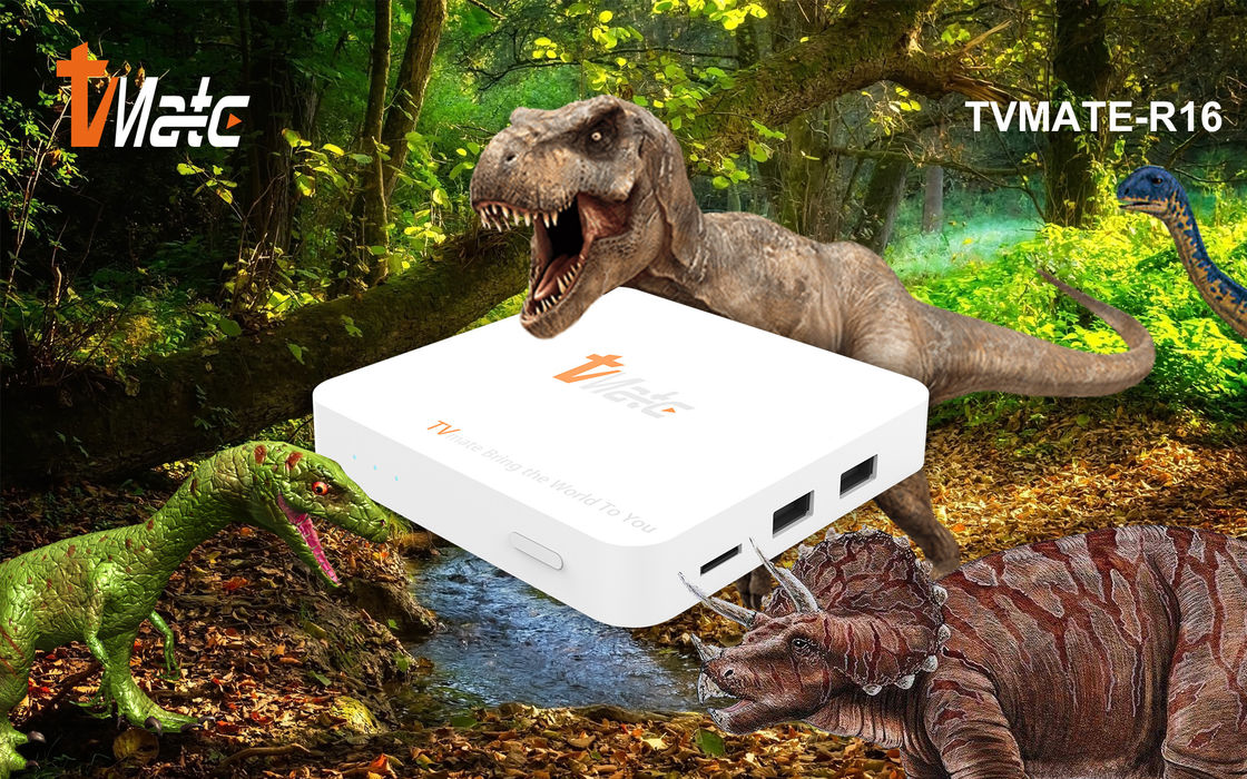 OTT Android TV Box Rockchip 322X Quad-Core Cortex-A7 Hingga 1.5GHz Smart TV Box Android